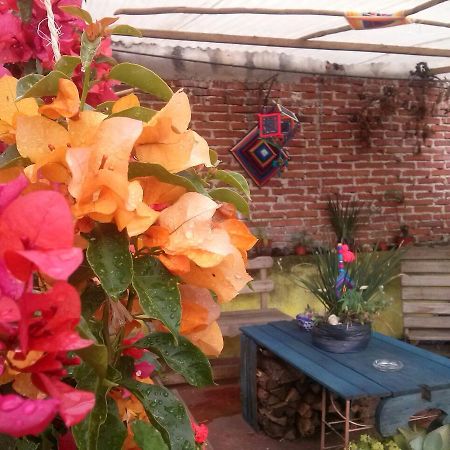 Hostal Nahui Ollin San Cristóbal de Las Casas Eksteriør billede