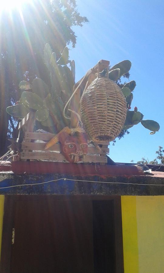 Hostal Nahui Ollin San Cristóbal de Las Casas Eksteriør billede