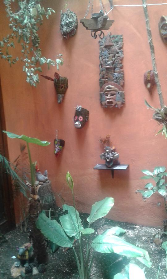 Hostal Nahui Ollin San Cristóbal de Las Casas Eksteriør billede