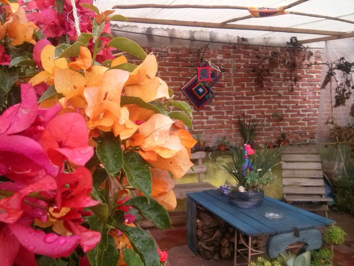 Hostal Nahui Ollin San Cristóbal de Las Casas Eksteriør billede